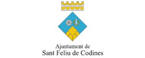 Ayuntamiento de Sant Feliu de Codines